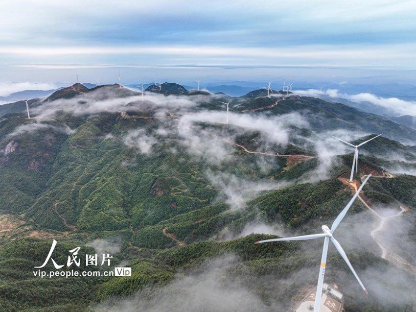 嘉庆赐死和珅后,纪晓岚结局如何?-知识星球平台